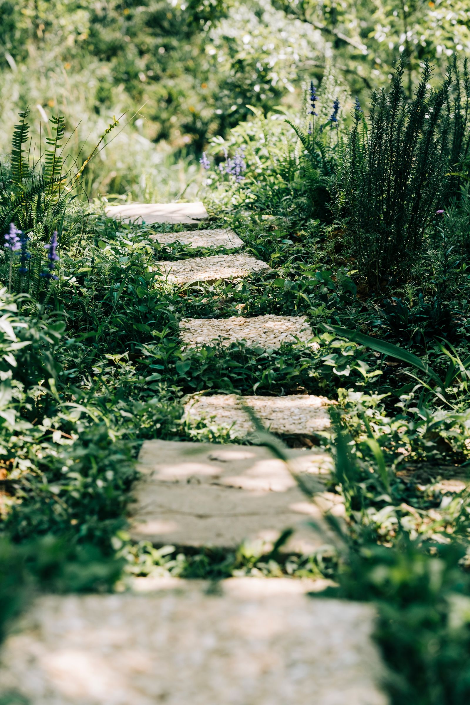 Oakstone stone walkway project