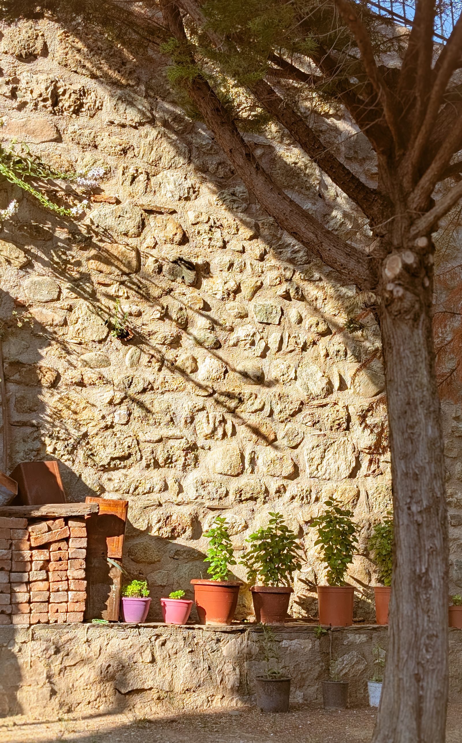 Oakstone stone wall project